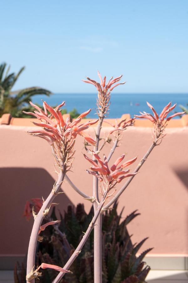 Platy Beach Hotel Buitenkant foto